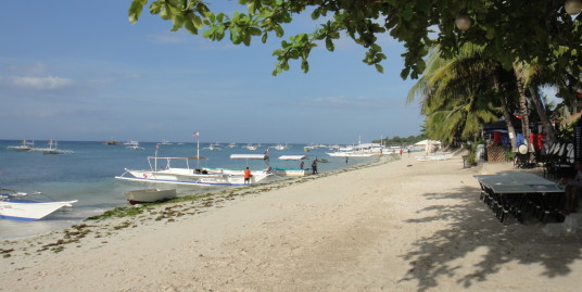 36.39 BTC Panglao Bohol Property 50 meters from Beach
